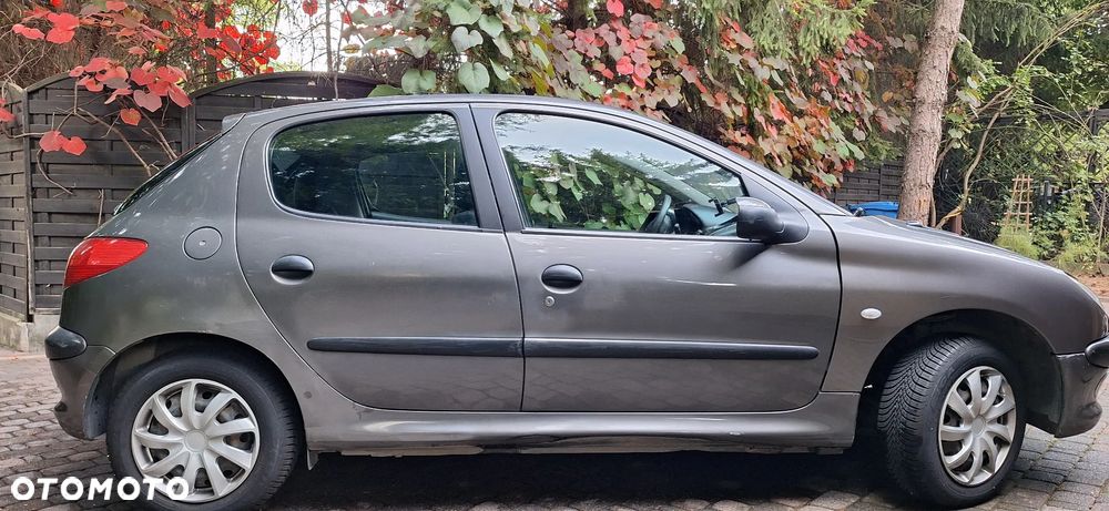 Peugeot 206 - 6