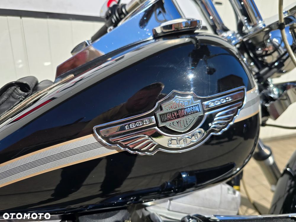 Harley-Davidson Softail Standard - 6