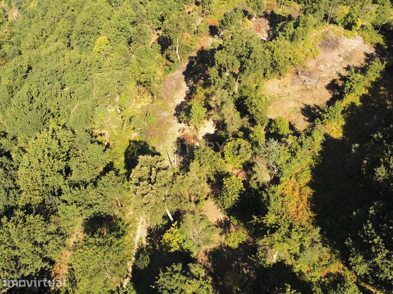 Terreno na zona do Gerês com vistas Rio - Grande imagem: 5/26