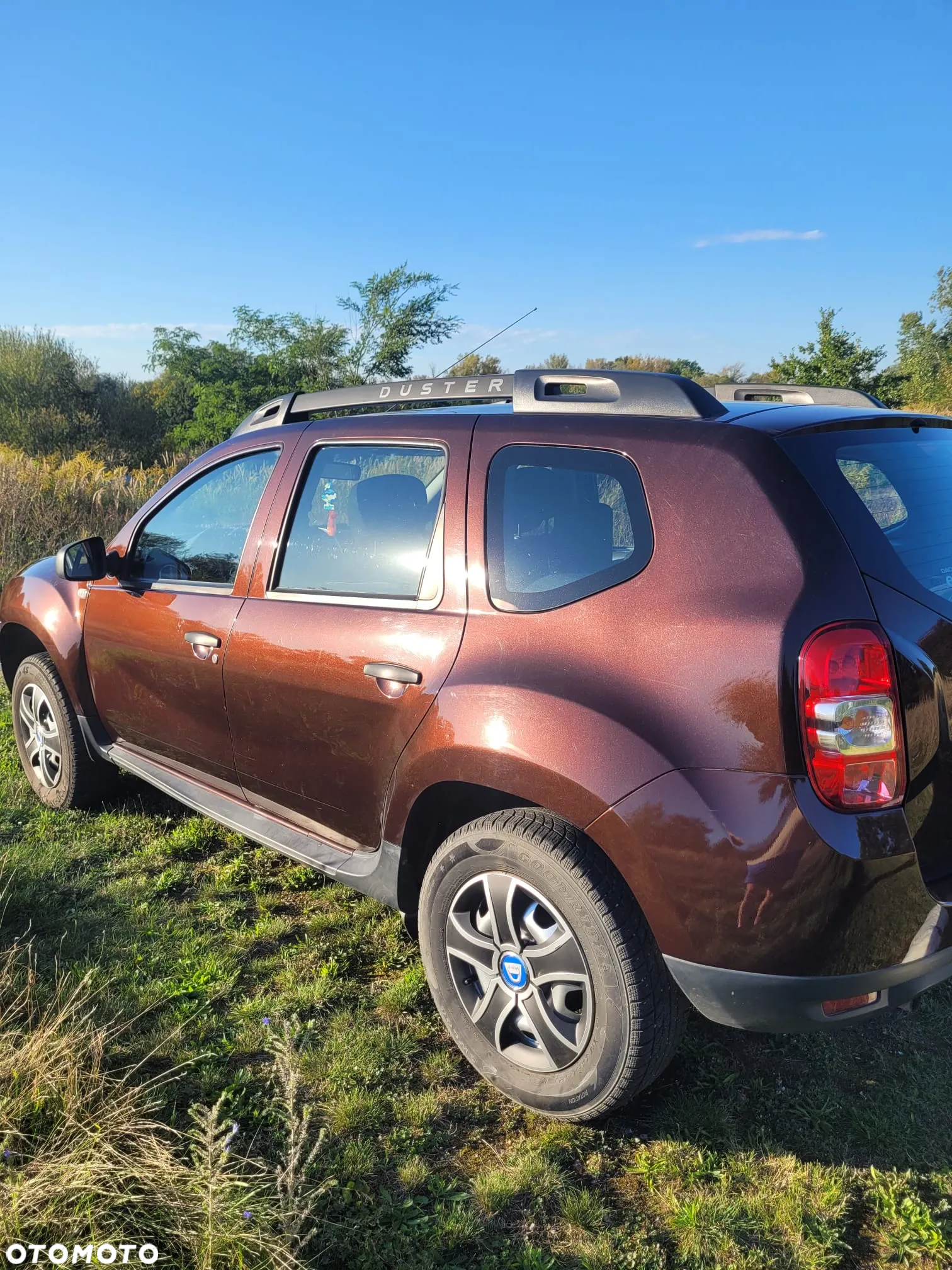Dacia Duster 1.6 SCe Ambiance S&S - 3