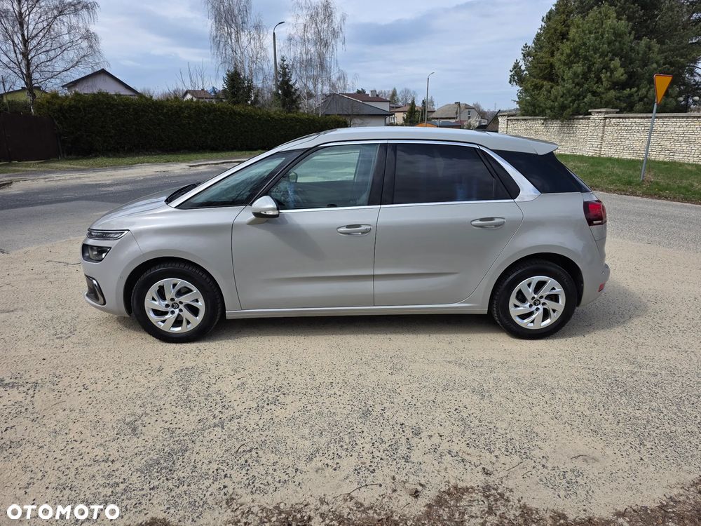 Citroën C4 SpaceTourer 1.5 BlueHDi Shine S&S EAT8 - 25