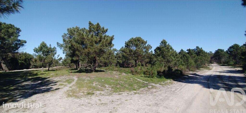 Terreno T1 em Vila do Bispo e Raposeira de 344887,00 m2 - Grande imagem: 5/27