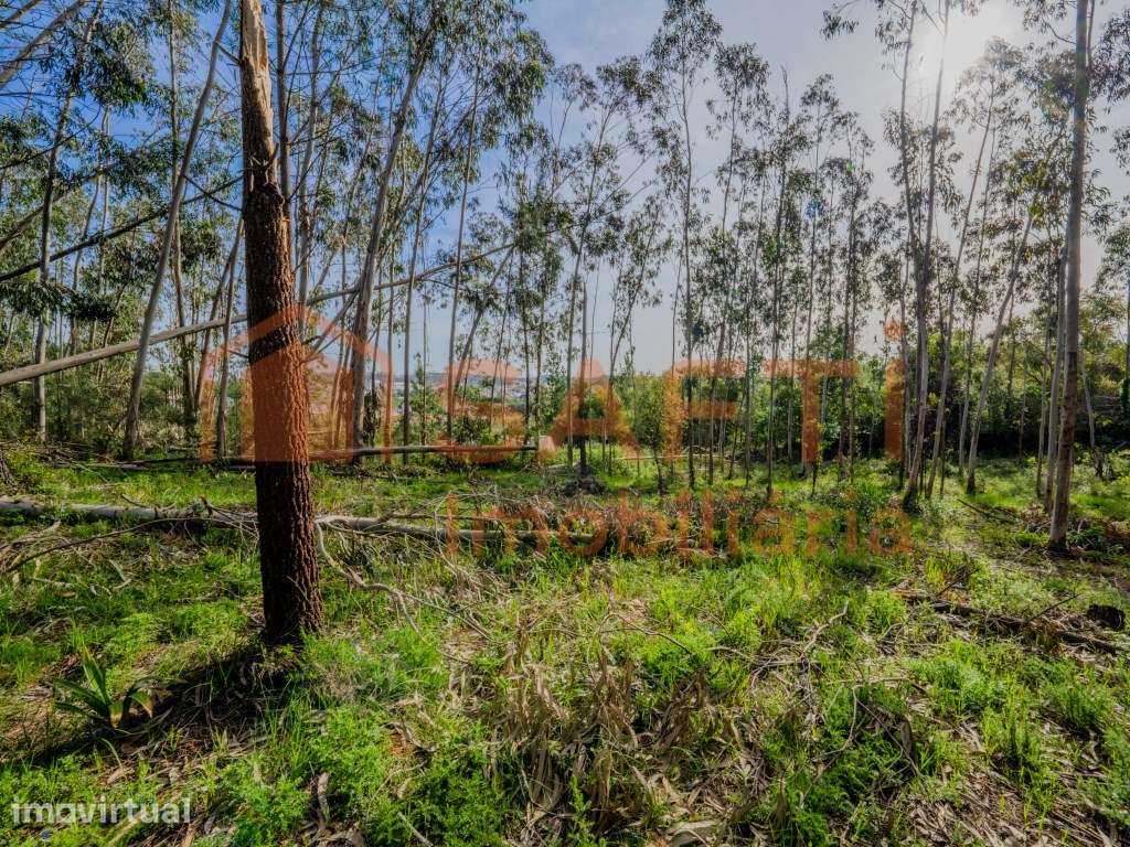 Terreno para construção - Grande imagem: 2/9
