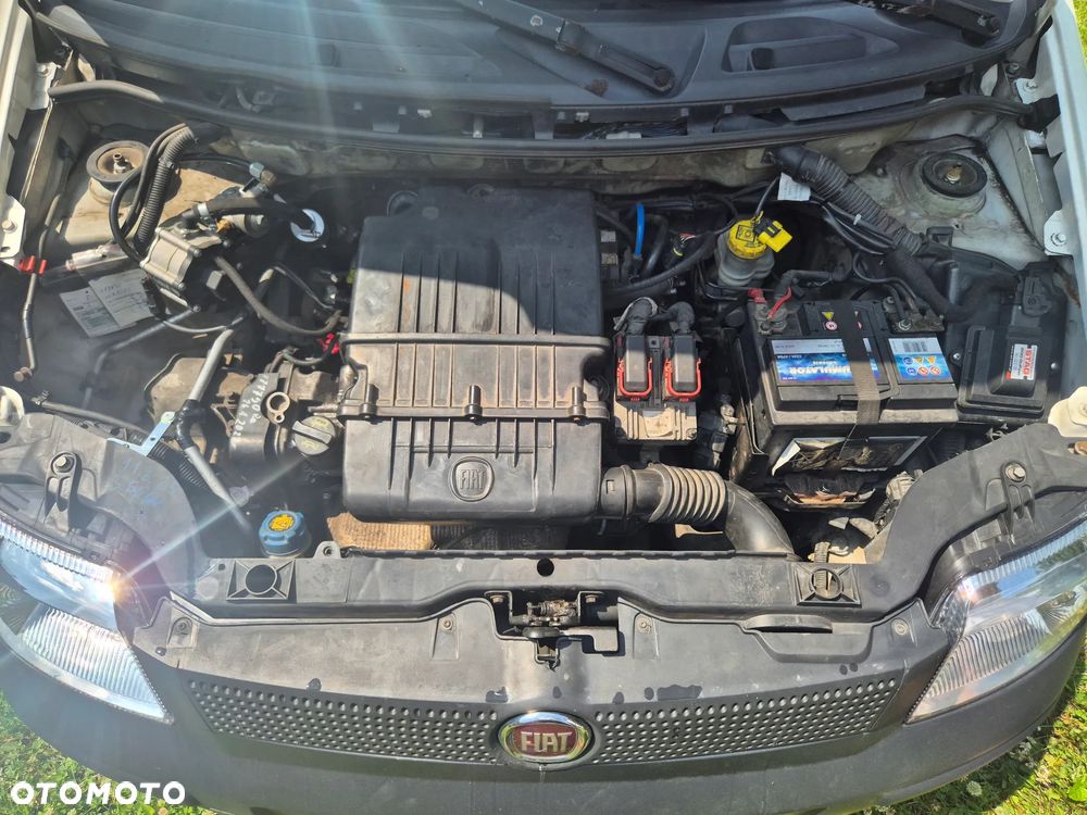 Fiat Panda 1.2 Trussardi - 14