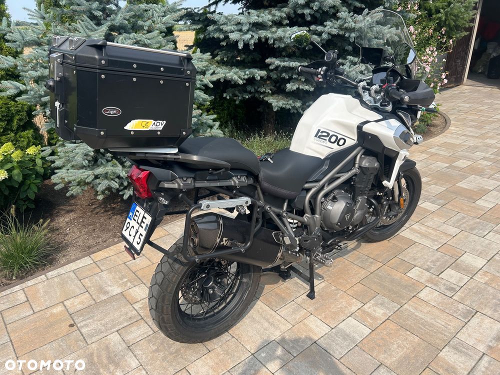 Triumph Tiger - 9