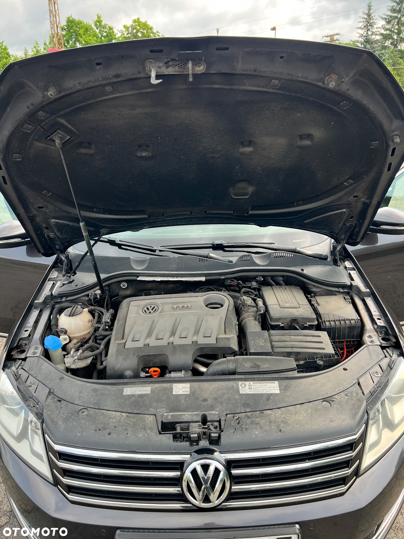 Volkswagen Passat - 28