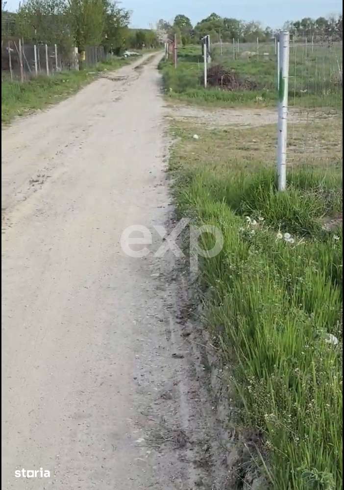 Teren 2100 mp cu iesire la lac – Budeasa Mare - Imagine principală: 5/5