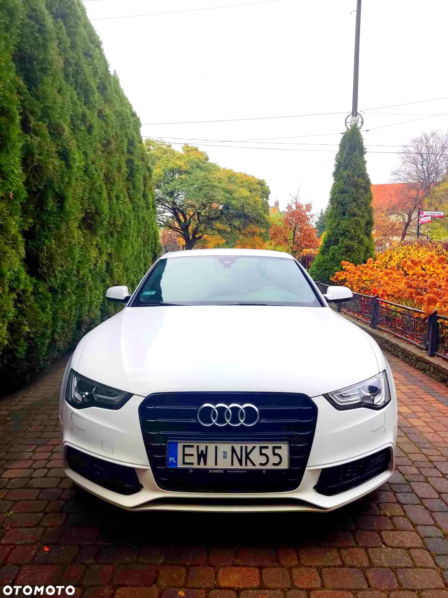 Audi A5 2.0 TDI clean diesel Multitronic - 5