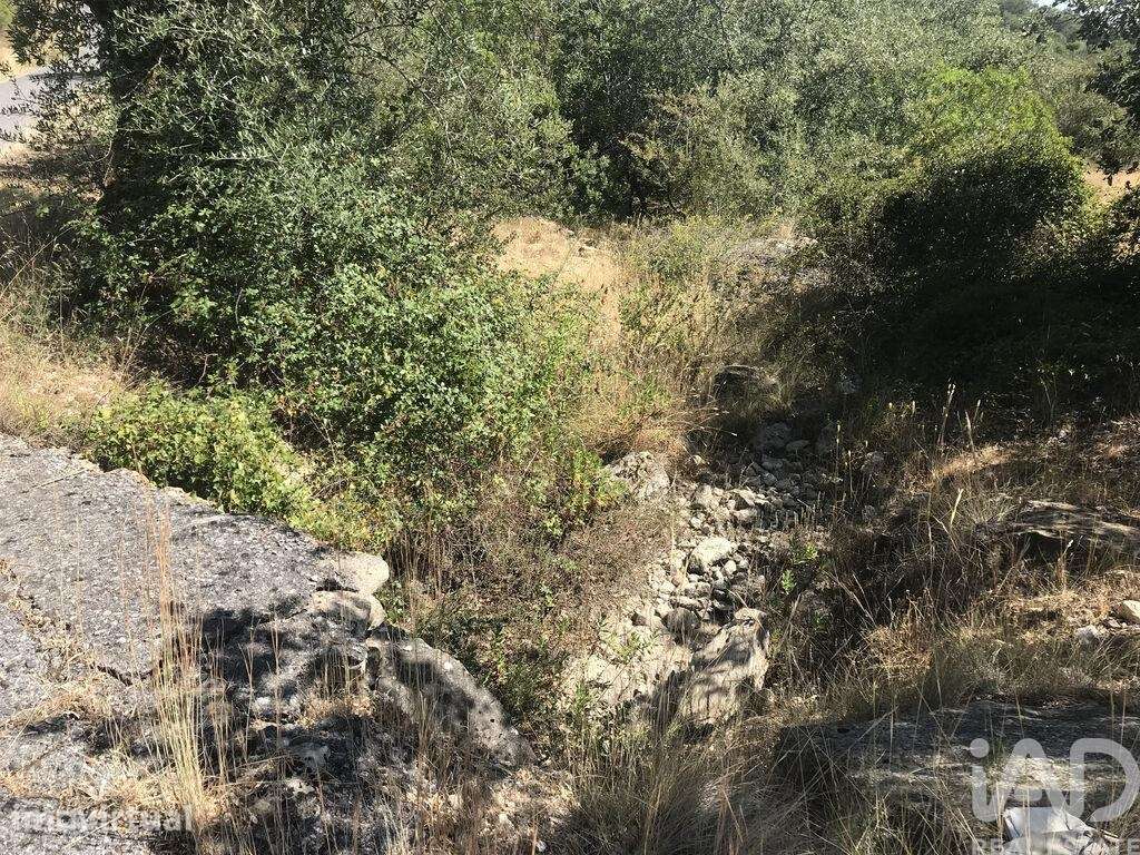Terreno Agrícola em Além da Ribeira e Pedreira - Grande imagem: 5/38