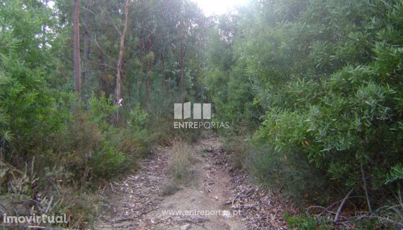 Venda Terreno, Vila Boa de Quires, Marco de Canaveses - Grande imagem: 2/10