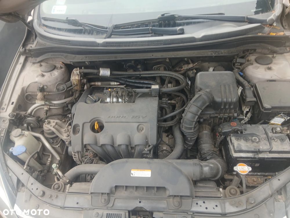 Kia Ceed lift 1.4 B 8Q HB maska pokrywa silnika klapa bagażnika zderzak lampa reflektor pas przedni stop lampy halogeny przeciwmgłowe odblaski grill atrapa znaczek błotnik błotniki drzwi zbiornik - 13