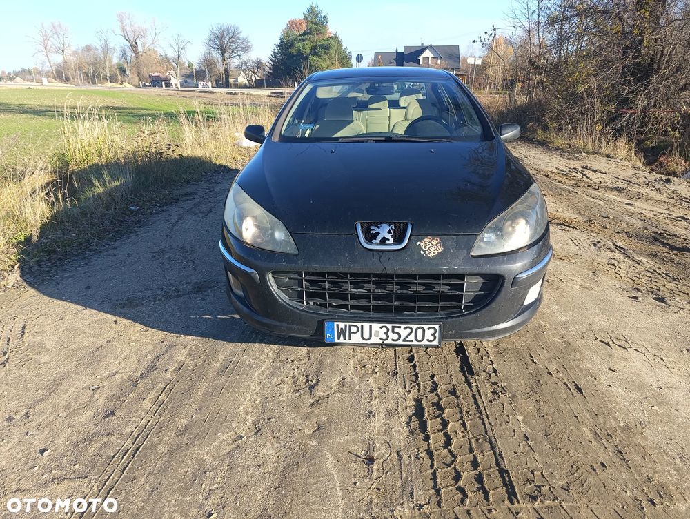 Peugeot 407 - 1