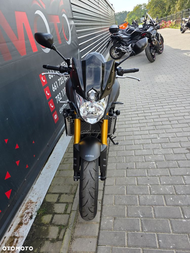 Yamaha FZ8 - 16