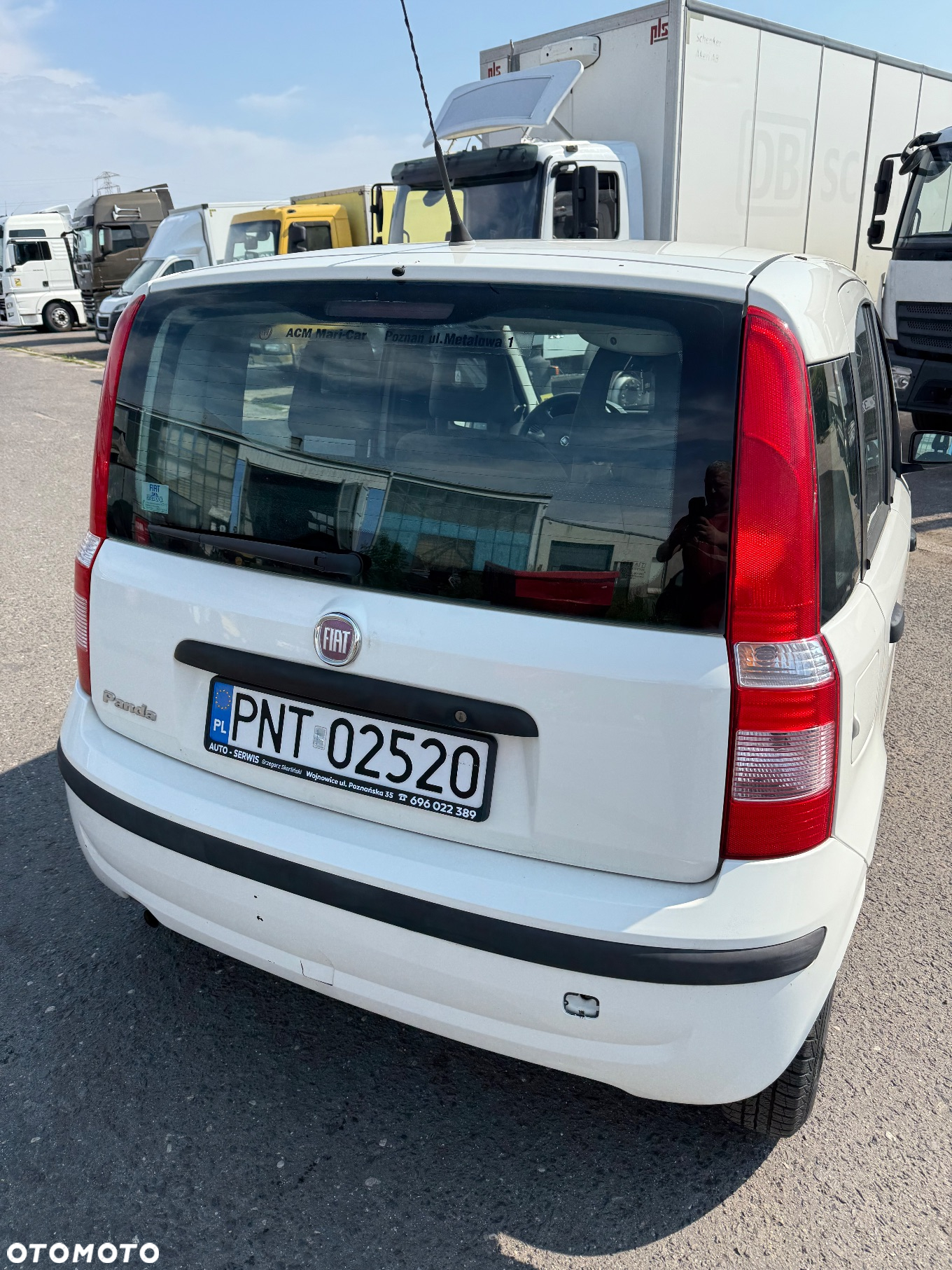 Fiat Panda 1.1 Active Alaska - 11