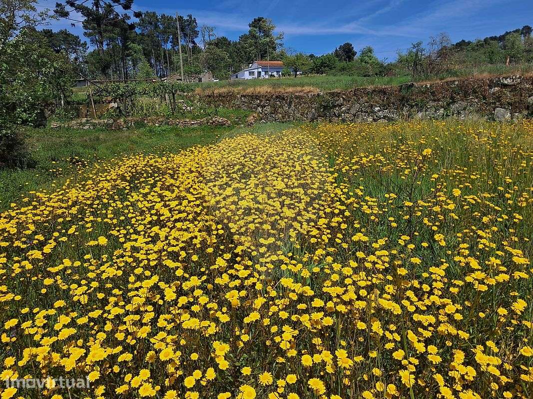 Terreno  para venda - Grande imagem: 4/5