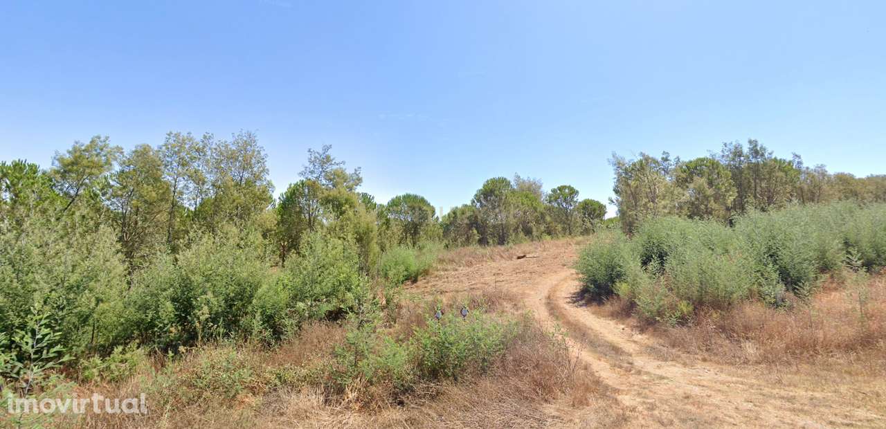 Herdade Raco de Baixo - S. Luís Nascente - Grande imagem: 2/5