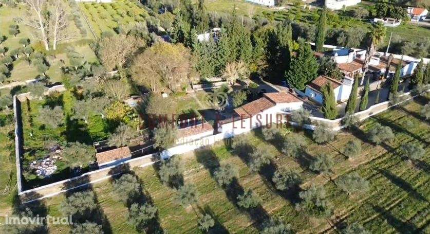 Quinta T5 Venda em Évora Monte (Santa Maria),Estremoz - Grande imagem: 4/60