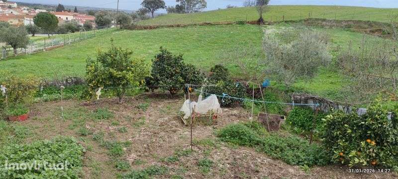 Vende-se terreno urbano com área de 3000m - Grande imagem: 3/5