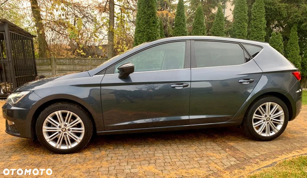 Seat Leon 1.5 EcoTSI Evo Xcellence S&S DSG - 8