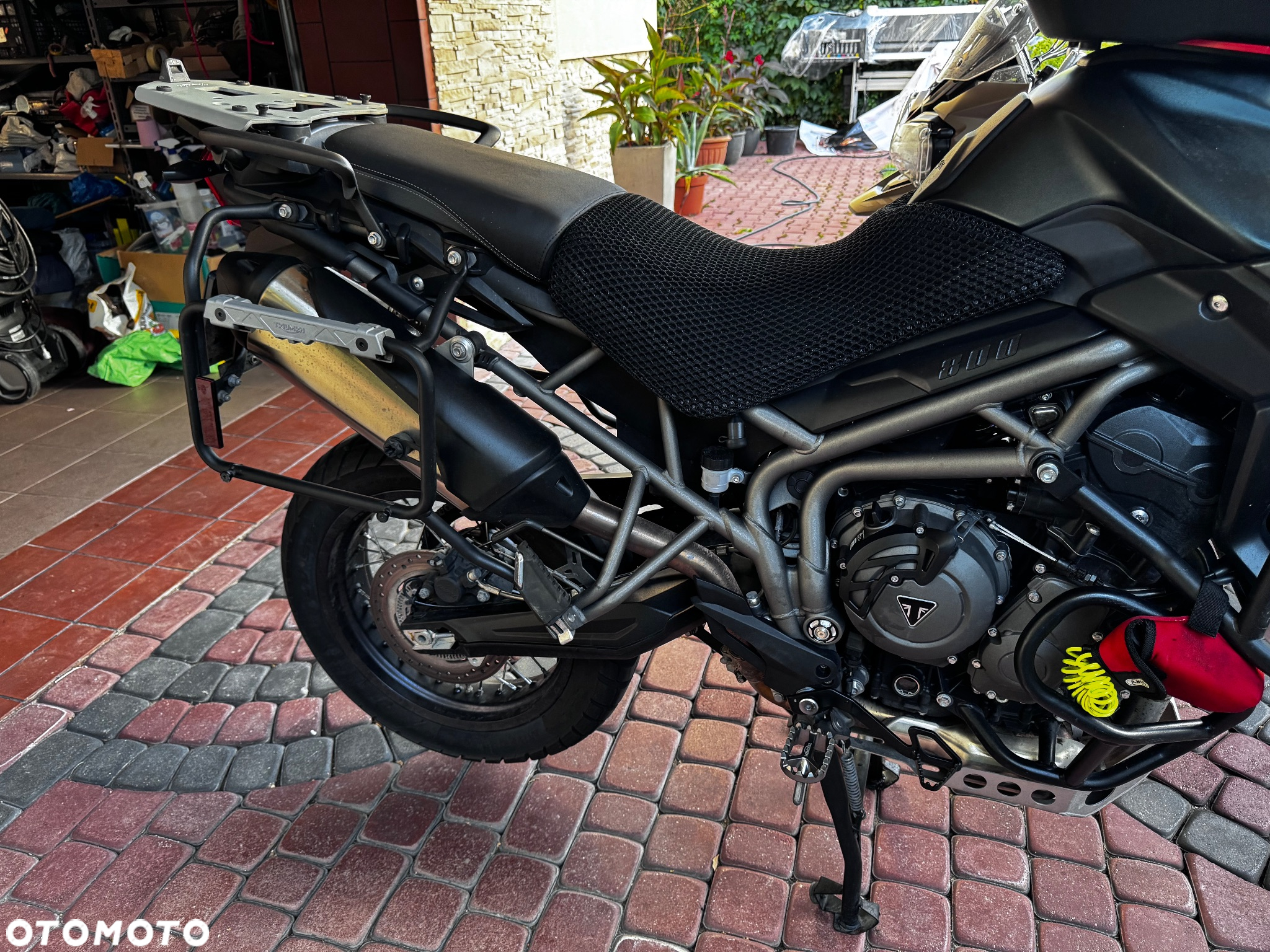 Triumph Tiger - 7