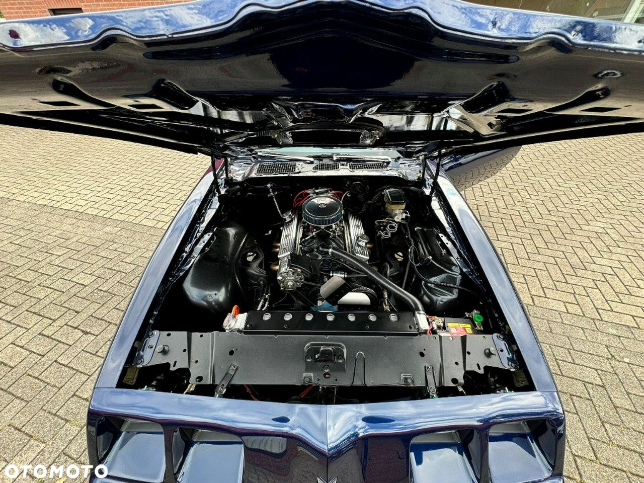 Pontiac Firebird - 11