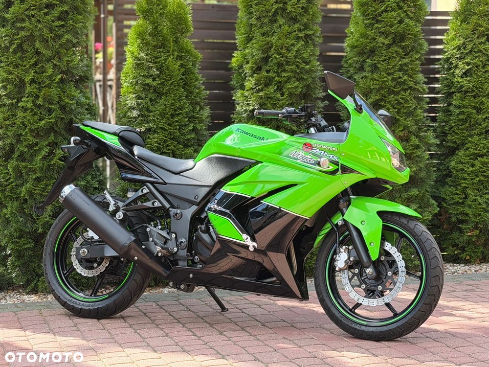 Kawasaki Ninja - 2