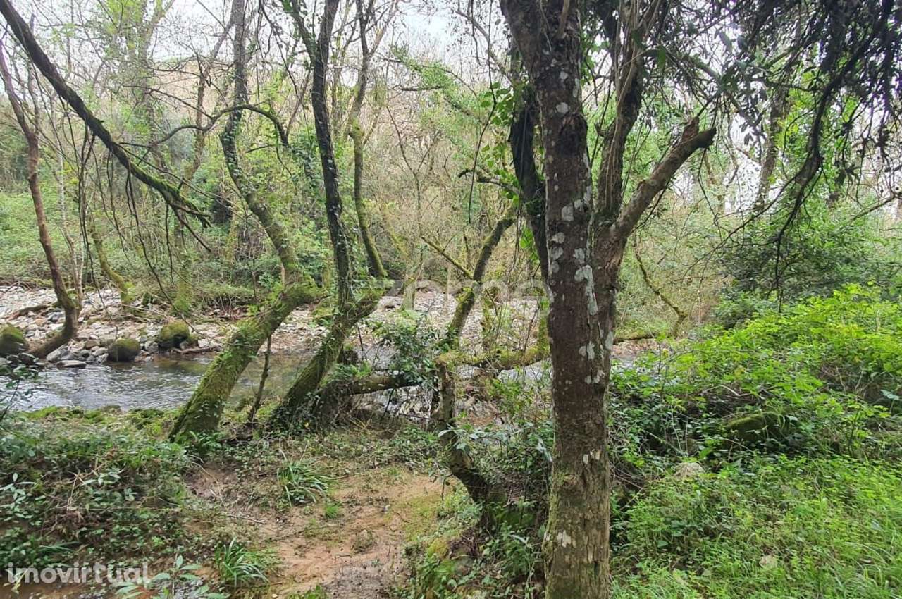 Terreno Rústico na Cabrela, Terrugem - Grande imagem: 2/21