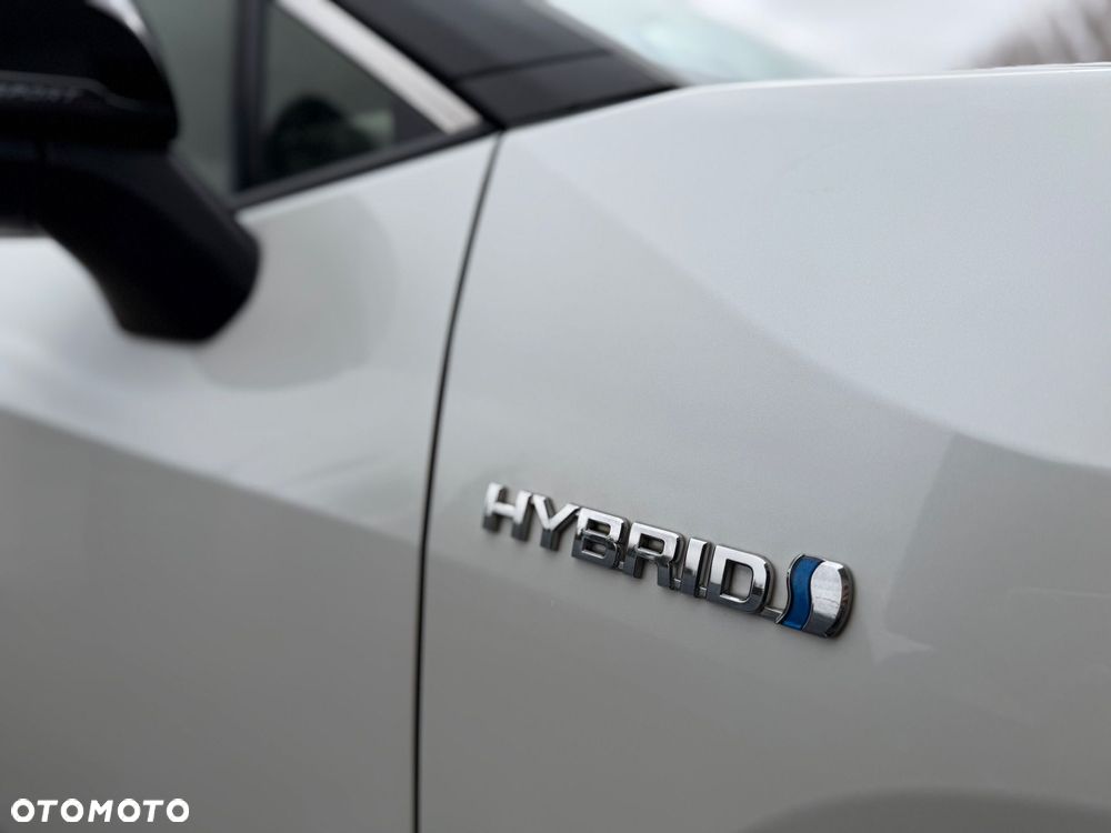 Toyota RAV4 2.5 Hybrid Selection 4x4 - 10
