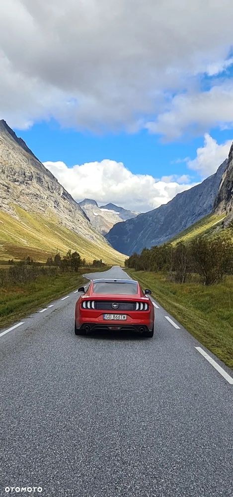 Ford Mustang 2.3 EcoBoost - 10