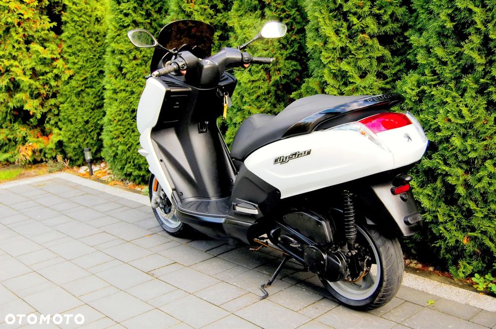 Peugeot Citystar - 6