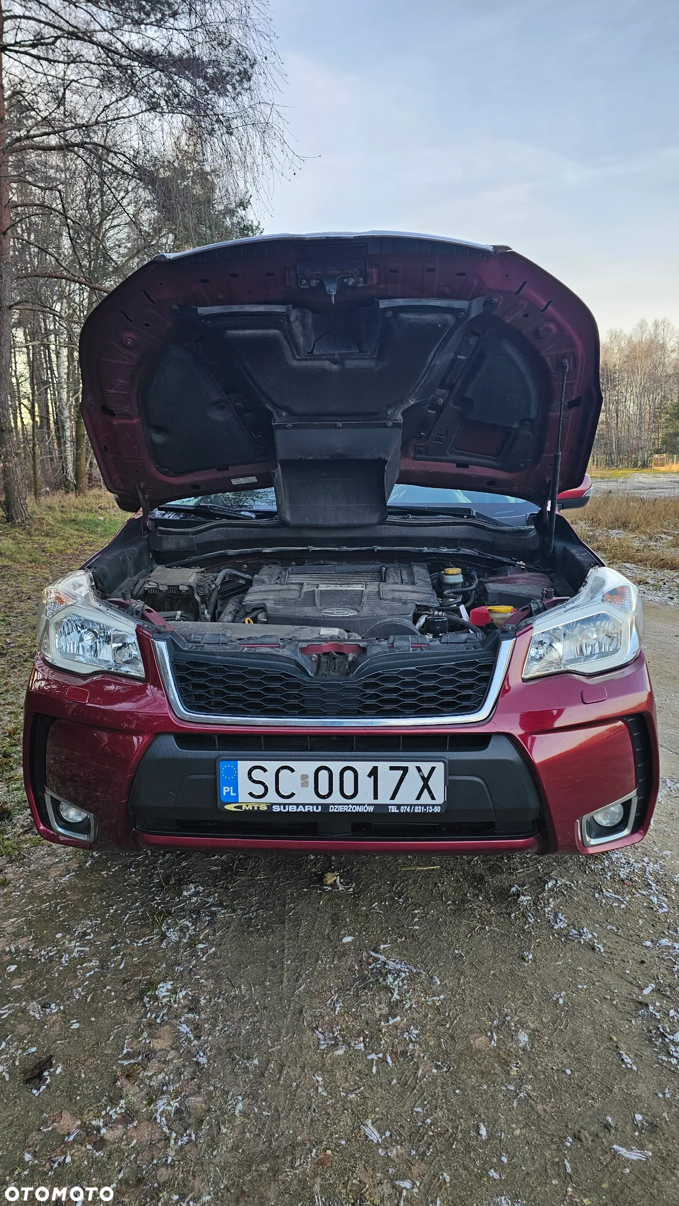 Subaru Forester - 7