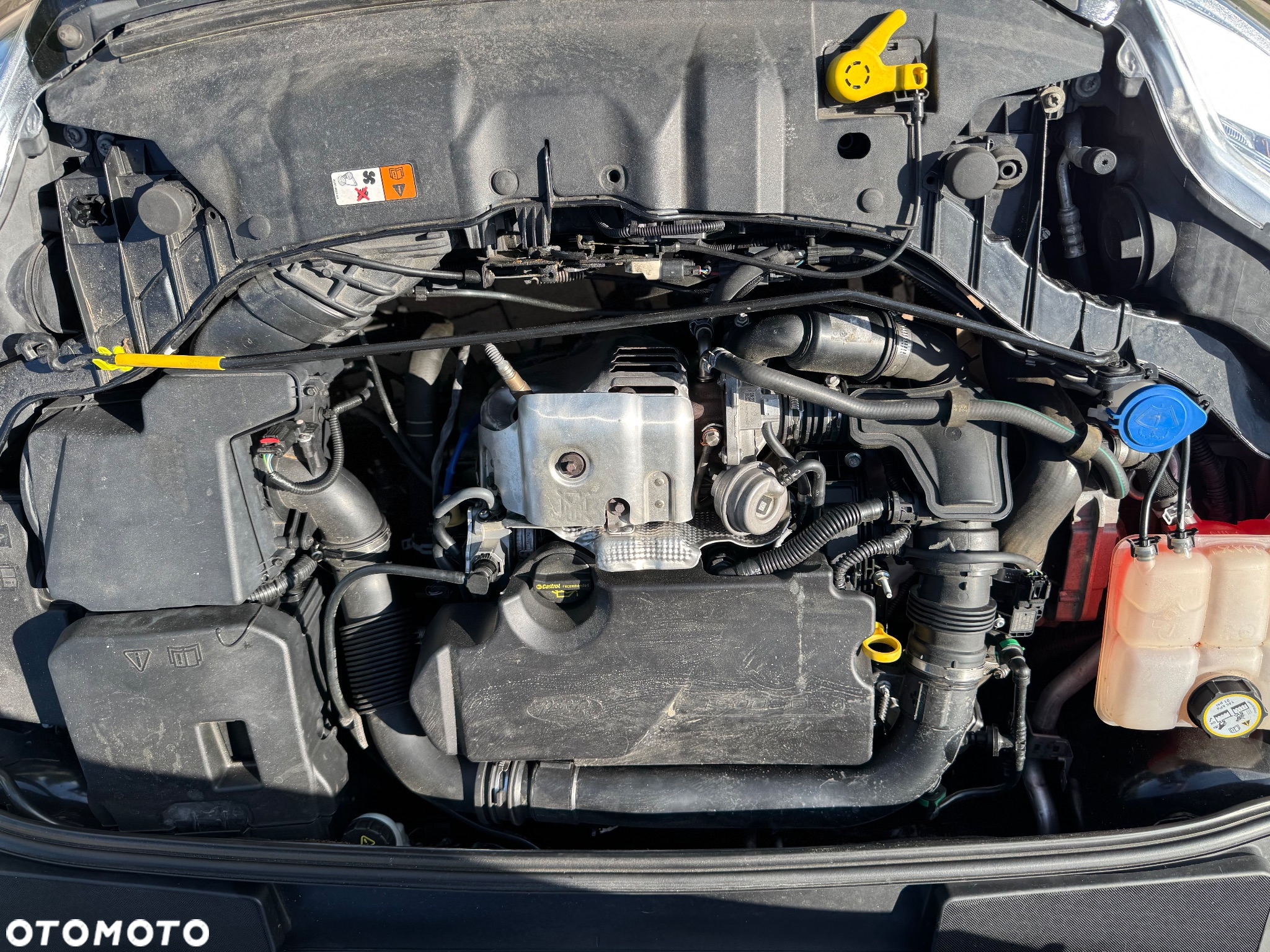 Ford Focus Turnier 1.0 EcoBoost Start-Stopp-System TREND - 10