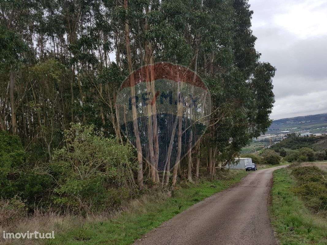 Terreno  para venda - Grande imagem: 3/6