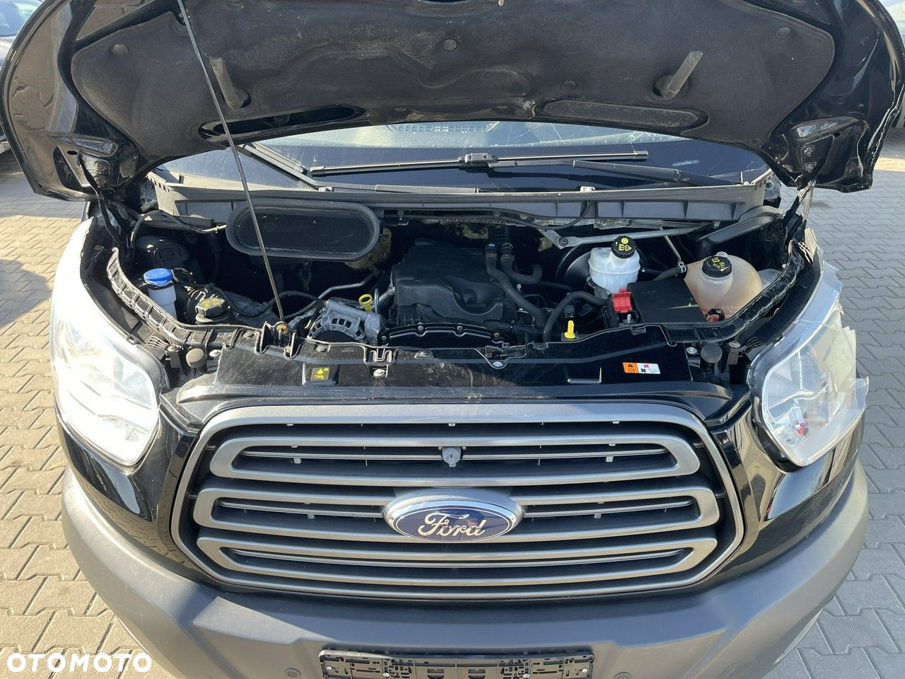 Ford Transit - 10