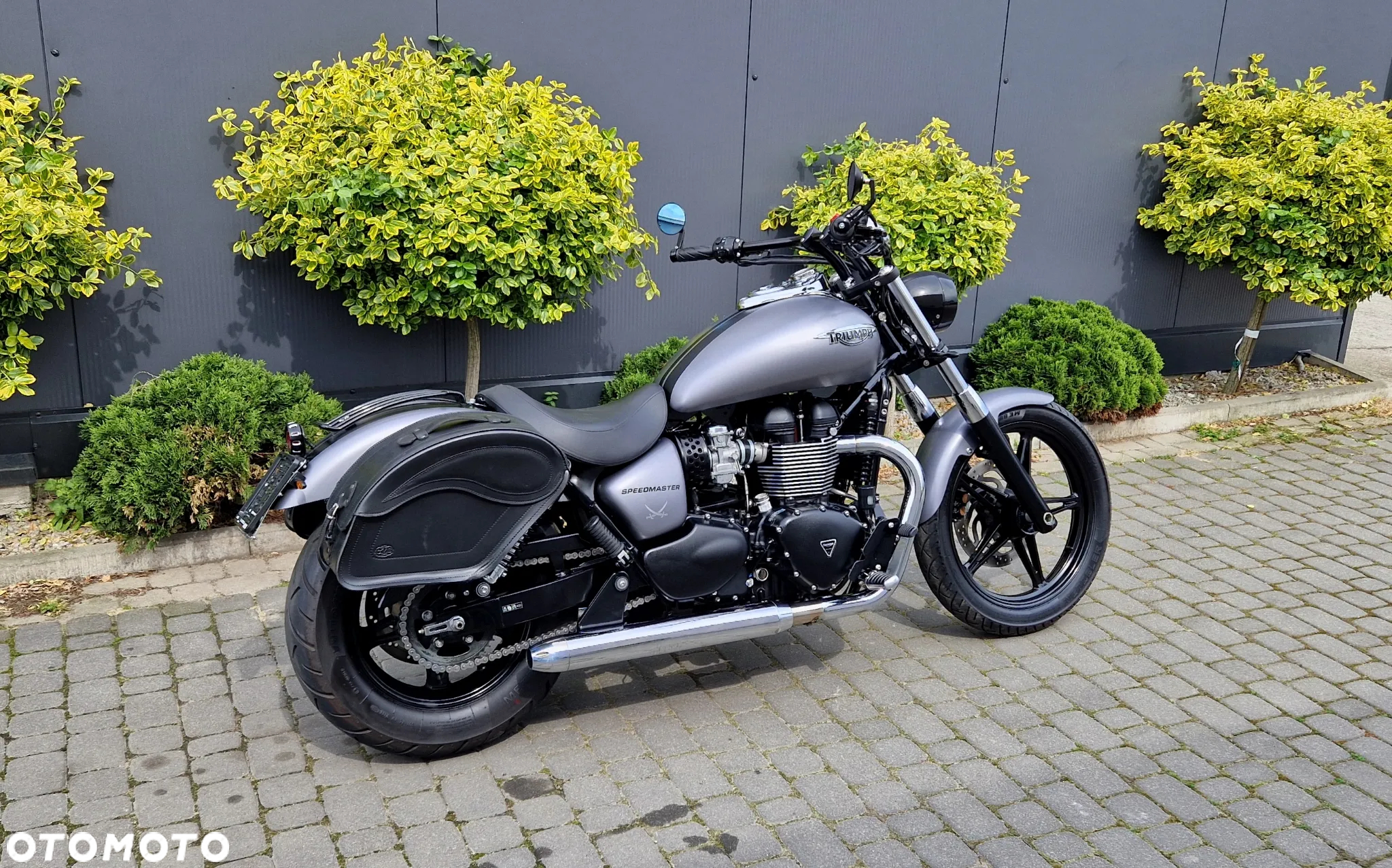 Triumph Speedmaster - 4