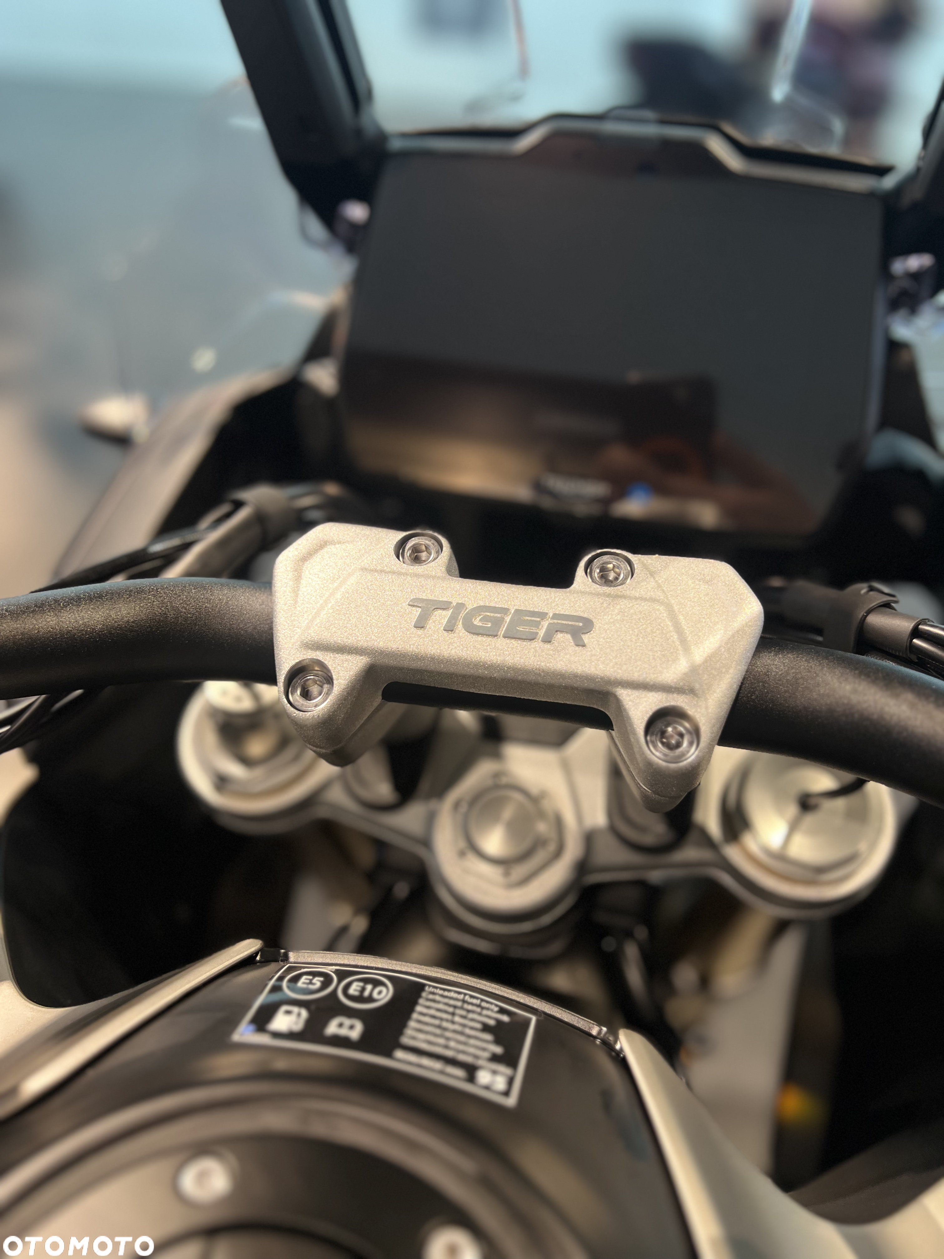 Triumph Tiger - 6