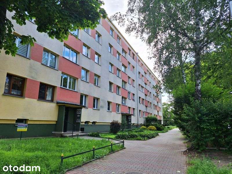 Różanka, 3 pok, pełne wyposażenie, od 01.08.2026