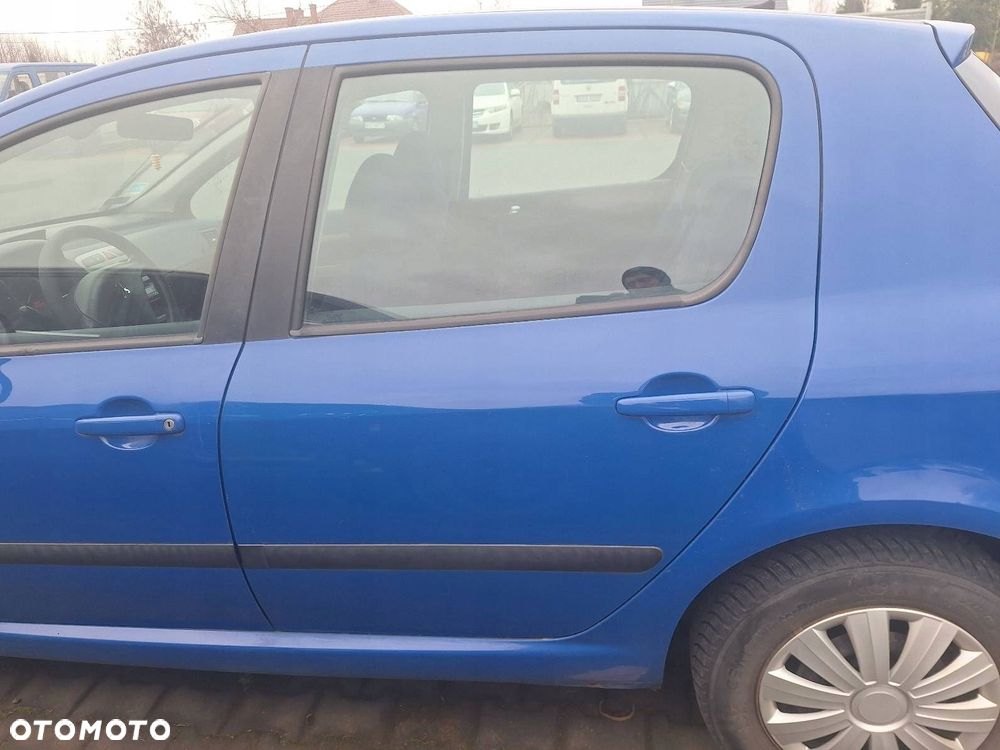 DRZWI KOMPLETNE LEWY TYŁ PEUGEOT 307 I 00-07r HATCHBACK 5D  EGJB - 1
