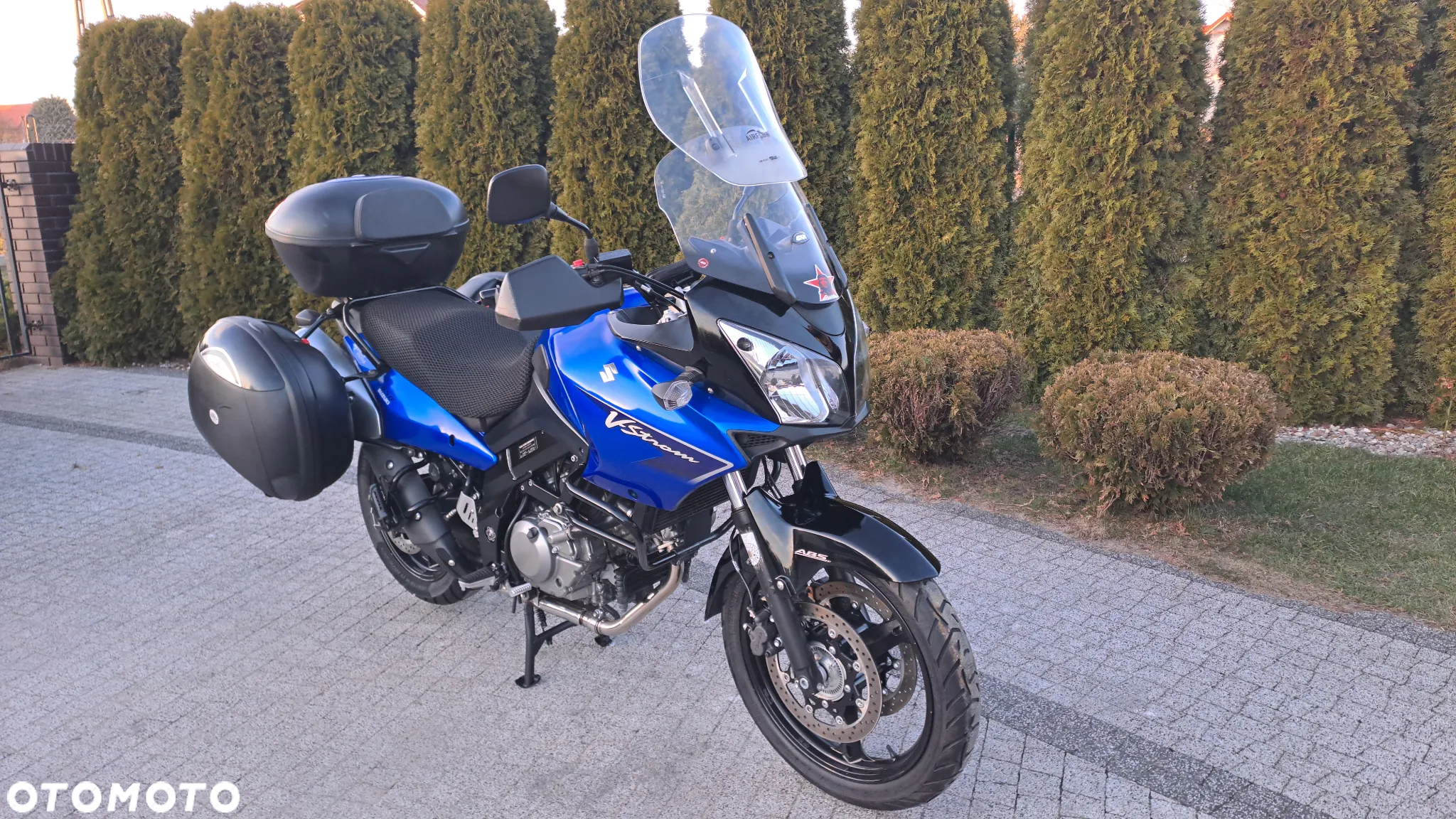Suzuki DL - 3