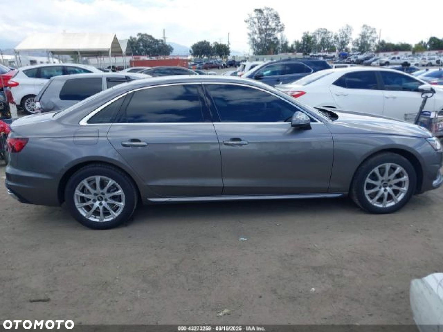 Audi A4 - 7