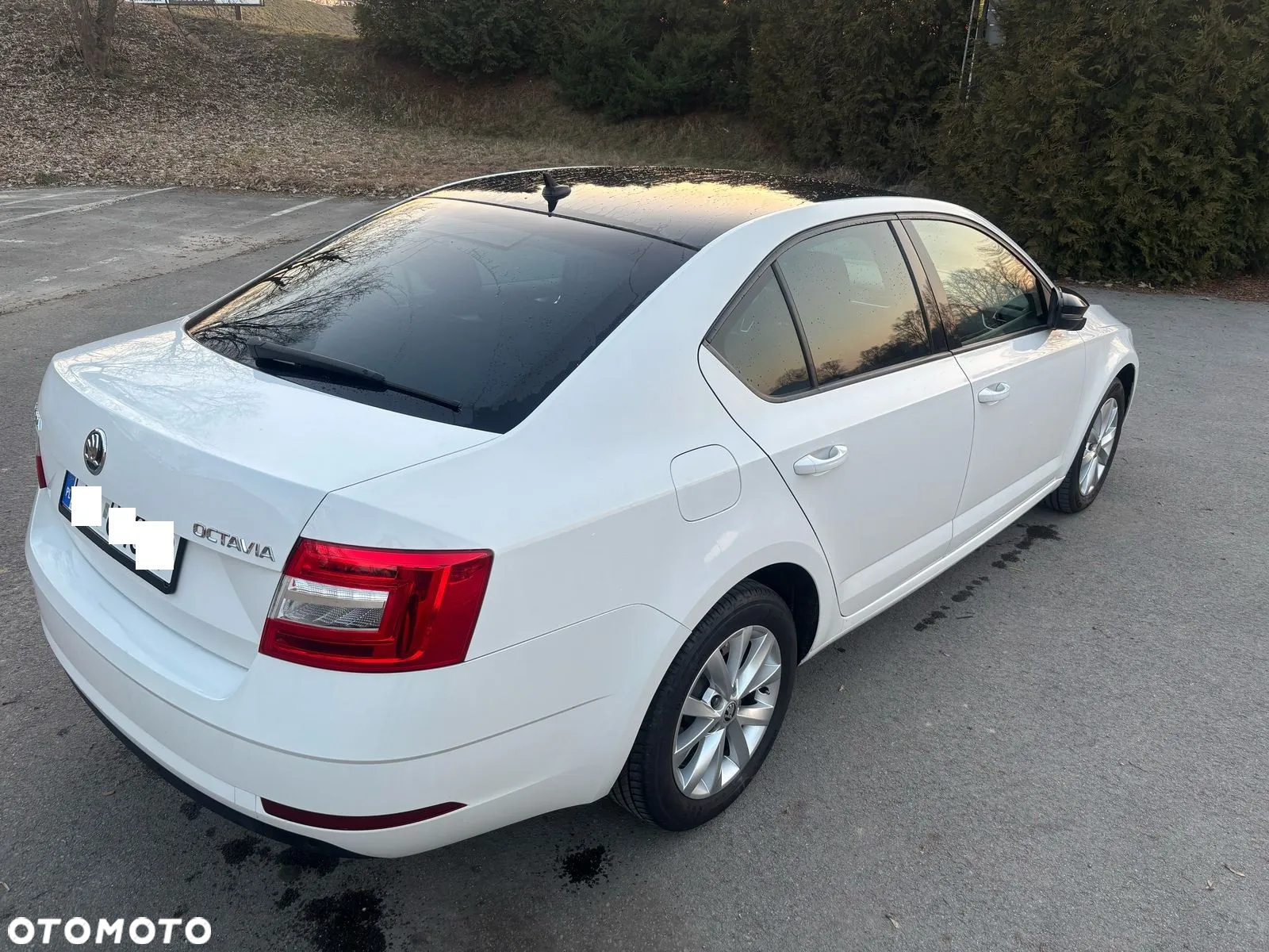 Skoda Octavia 2.0 TDI L&K DSG - 16