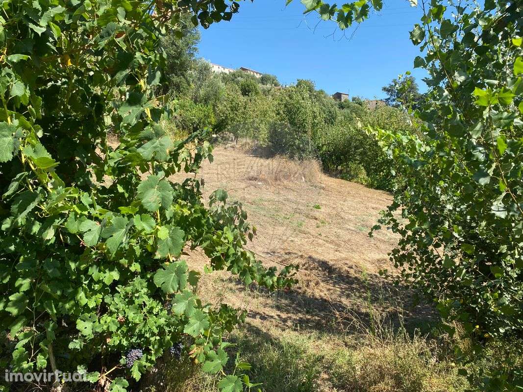 Terreno  para venda - Grande imagem: 2/10