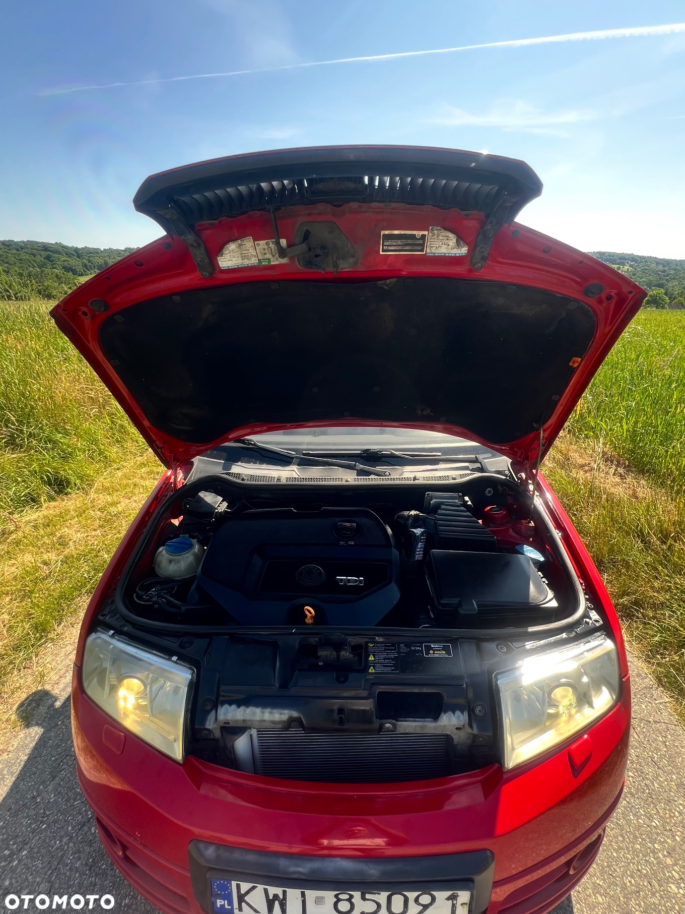 Skoda Fabia 1.9 TDI RS - 4