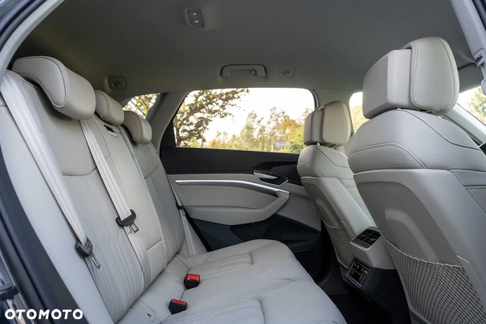 Audi Q8 e-tron 55 114kWh Quattro Advanced - 22