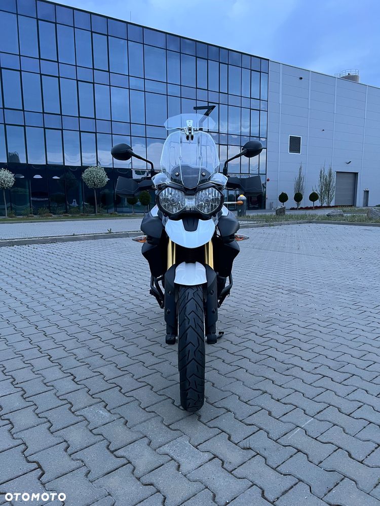 Triumph Tiger - 4