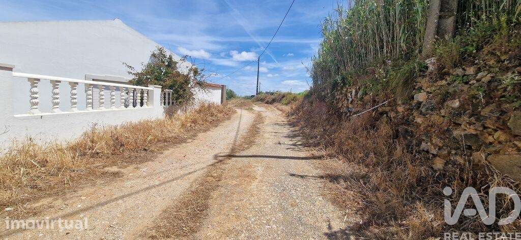 Terreno Agrícola em Santo Isidoro - Grande imagem: 3/19