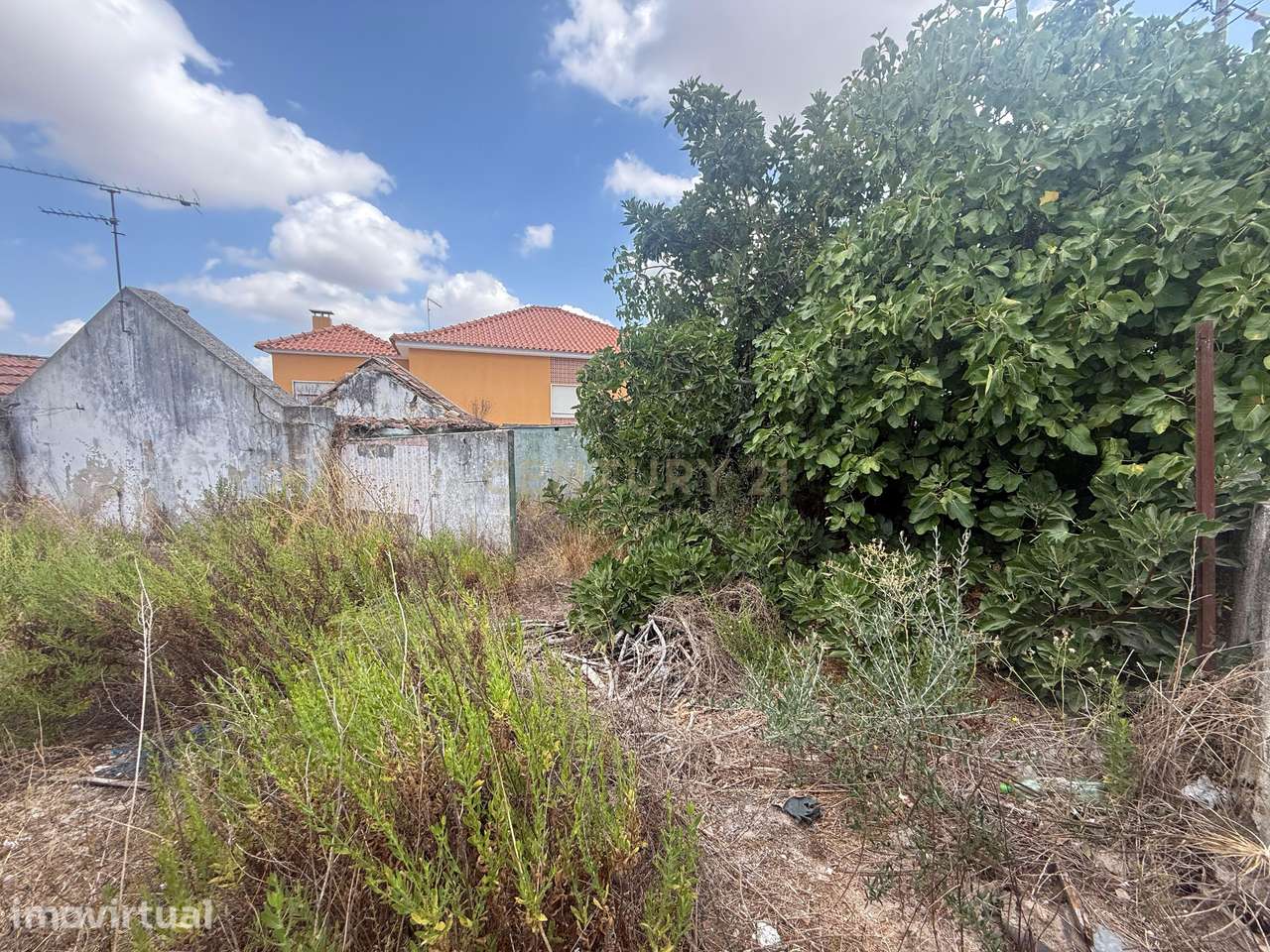 Terreno com ruína em Quinta do Anjo, Palmela - Oportunidade Única - Grande imagem: 2/6