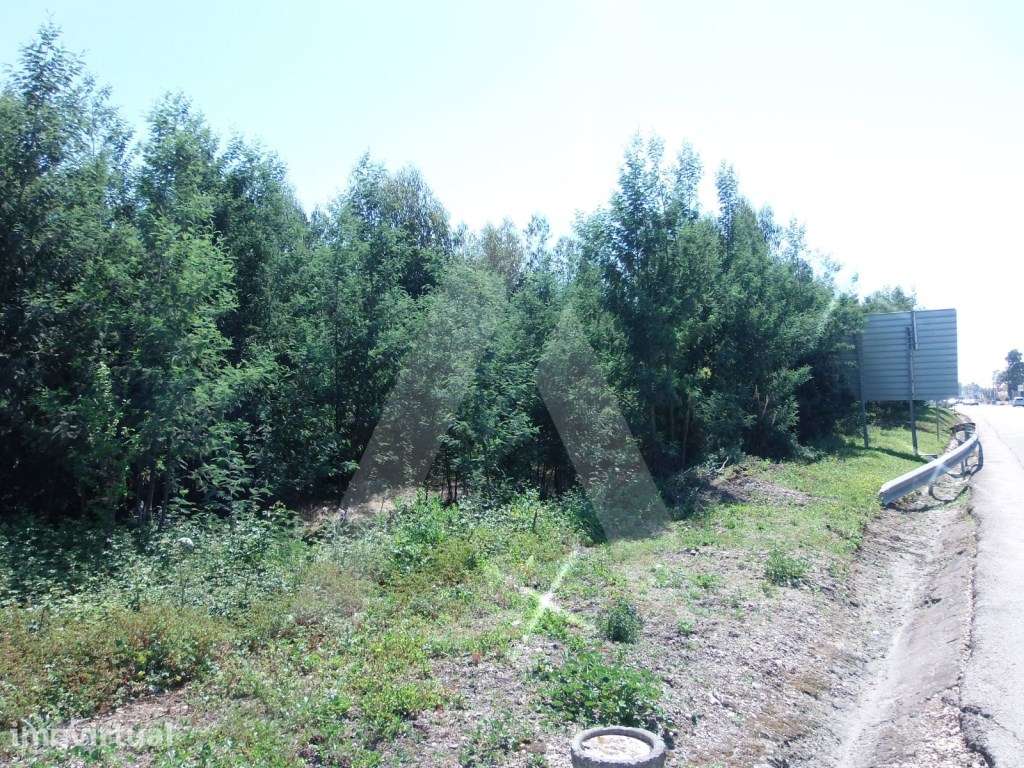 Terreno situado em Cacia - Grande imagem: 3/9
