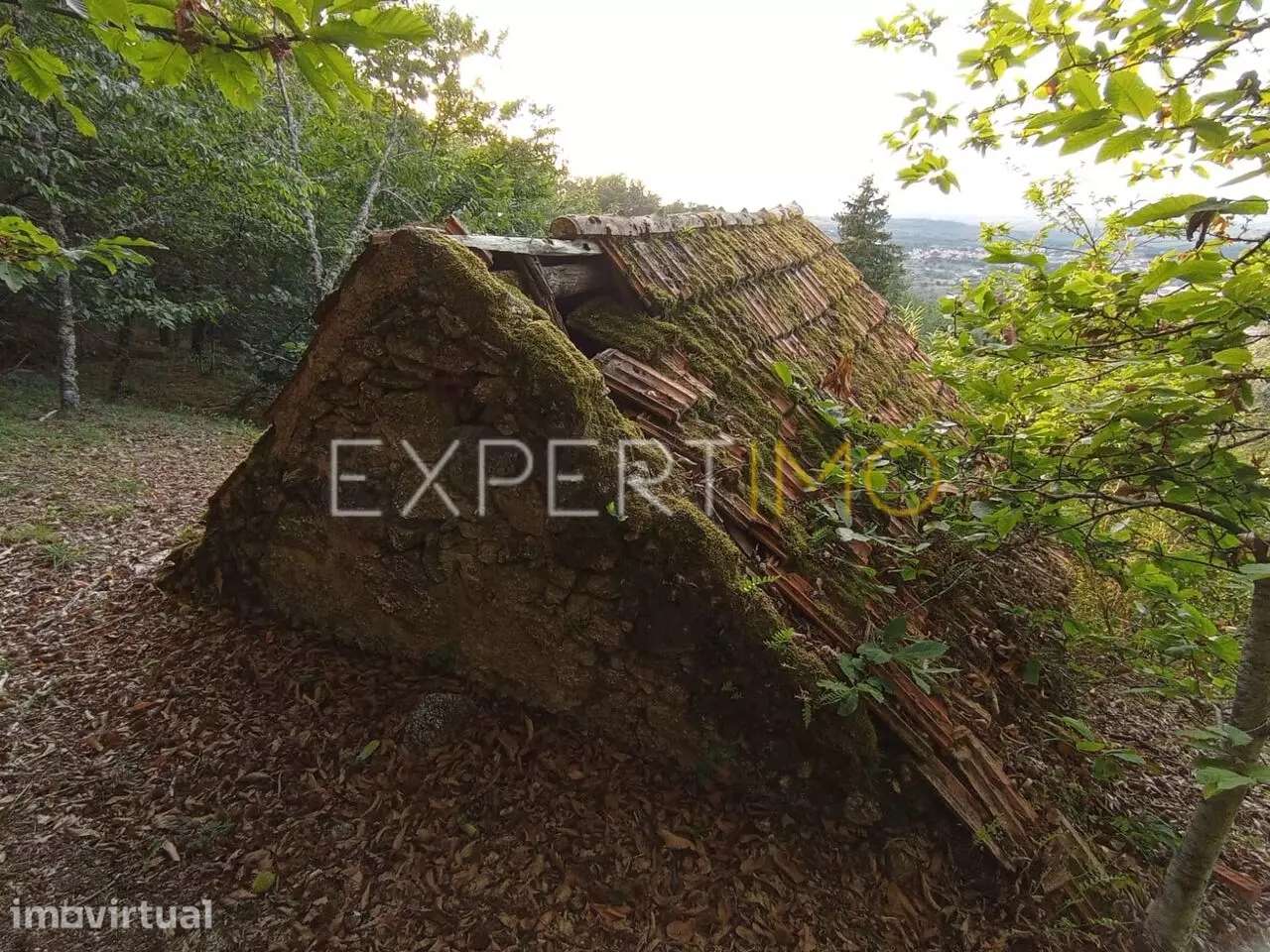 Terreno rústico com casa de arrumos à venda em São Romão em plena... - Grande imagem: 5/21