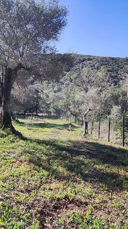 Terreno  para venda - Grande imagem: 3/7